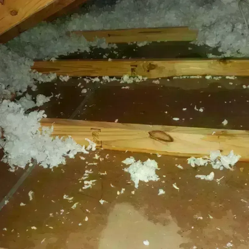 Attic Water Damage in Benjamin, TX