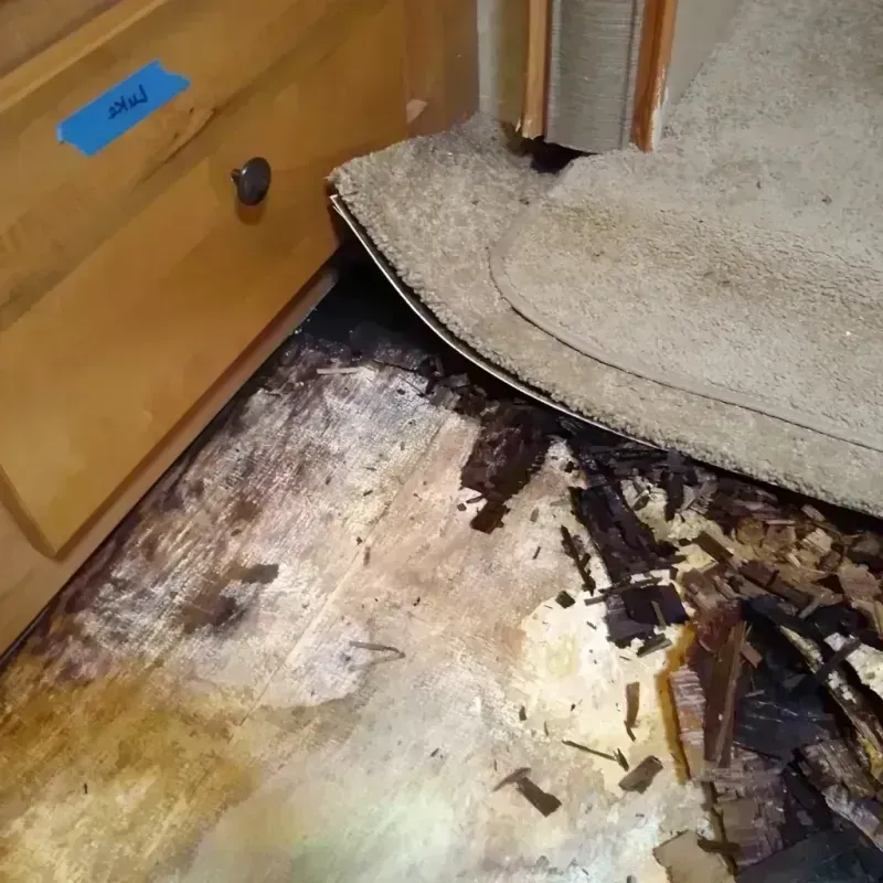 Wood Floor Water Damage in Benjamin, TX